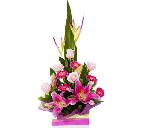 Fresh Flowers : East Maitland Florist