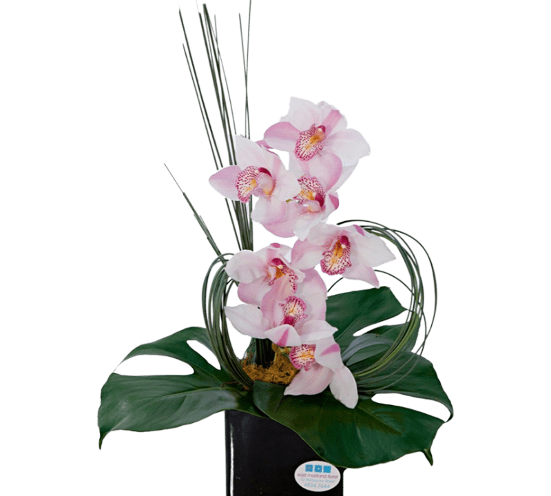 East Maitland Florist Fresh Flowers Same Day Delivery